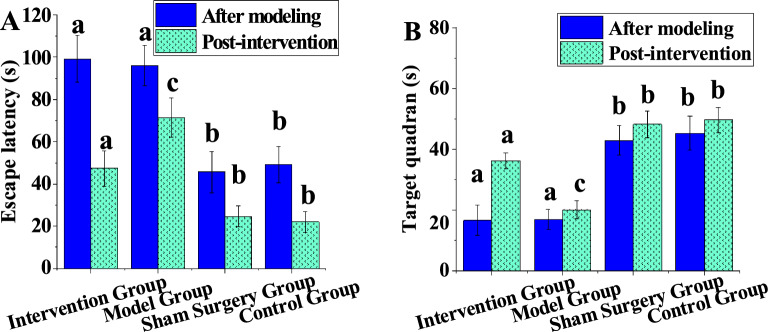 Effects of repetitive transcranial magnetic stimulation on learning and memory cognitive function in rats with vascular cognitive impairment and its neural induction mechanism.