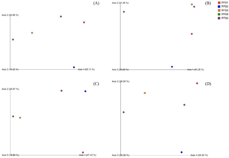 Microbiome profiling and Actinomycetes isolation from tropical marine sponges.