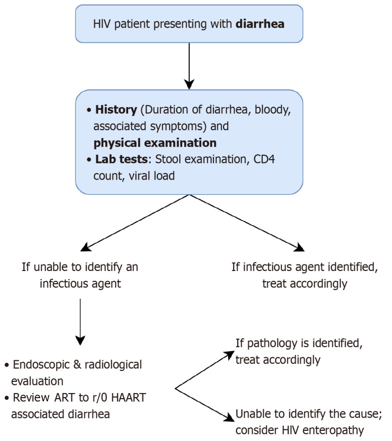 Insights into gastrointestinal manifestation of human immunodeficiency virus: A narrative review.