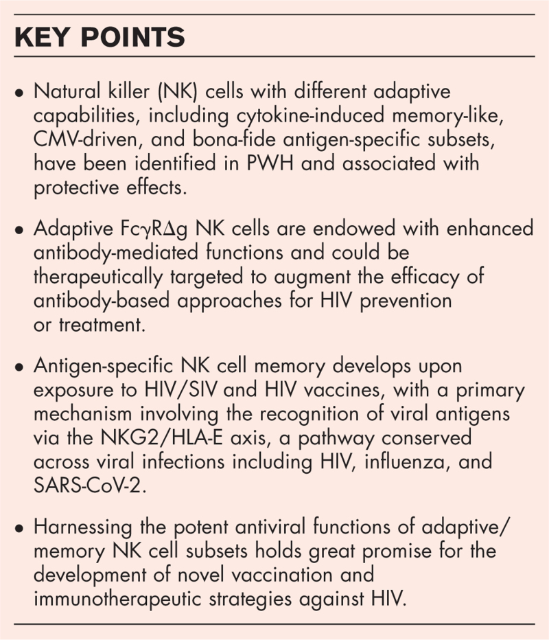 Elephant in the room: natural killer cells don't forget HIV either.