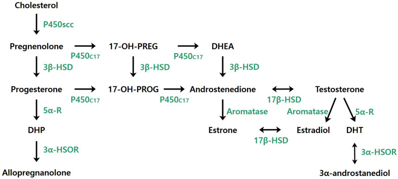 Neurosteroids and neurological disorders.