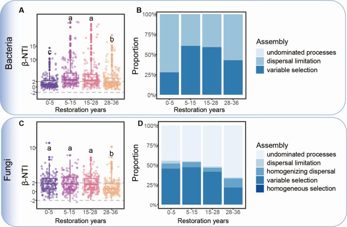 Abstract Image