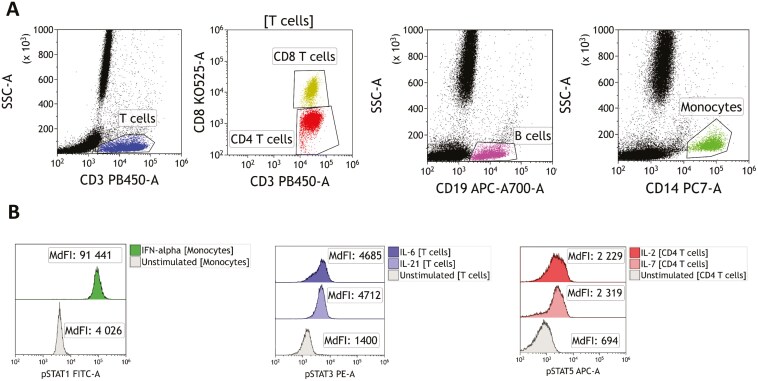 Development and evaluation of two whole-blood flow cytometry protocols for monitoring patients treated with JAK inhibitors.