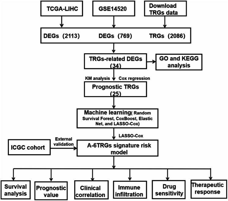 Machine learning-based identification of telomere-related gene signatures for prognosis and immunotherapy response in hepatocellular carcinoma.