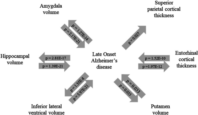 Brain morphology mediating the effects of common genetic risk variants on Alzheimer's disease.