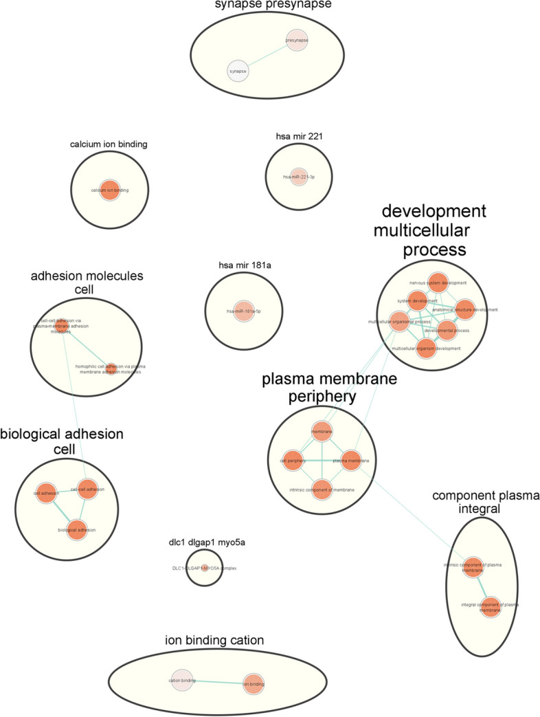 EnSCAN: ENsemble Scoring for prioritizing CAusative variaNts across multiplatform GWASs for late-onset alzheimer's disease.