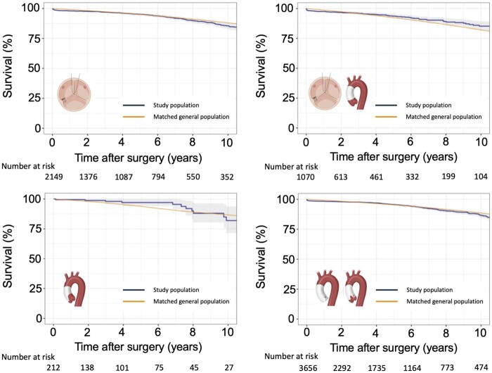 Aortic valve repair in adults: long-term clinical outcomes and echocardiographic evolution in different valve repair techniques.