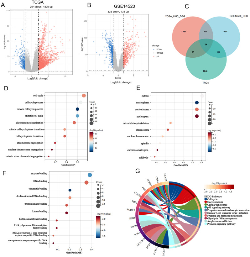 Machine learning-based identification of telomere-related gene signatures for prognosis and immunotherapy response in hepatocellular carcinoma.