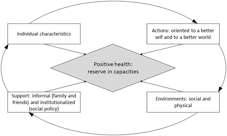 The Dynamic Model of Health Assets: a model development.