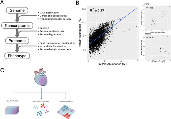 Integrating -Omic Technologies across Modality, Space, and Time to Decipher Remodeling in Cardiac Disease.