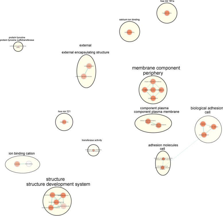 EnSCAN: ENsemble Scoring for prioritizing CAusative variaNts across multiplatform GWASs for late-onset alzheimer's disease.
