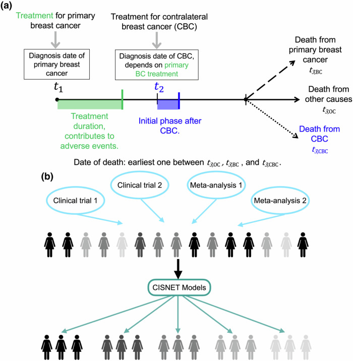 Impact of endocrine therapy regimens for early-stage ER+/HER2-breast cancer on contralateral breast cancer risk.