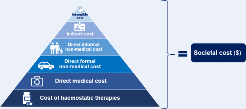 Economic Burden of Haemophilia from a Societal Perspective: A Scoping Review.