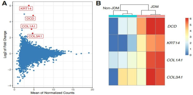 Monozygotic twins discordant for juvenile dermatomyositis: clinical, serological and gene expression studies.