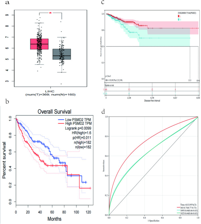 Expression of PSMD2 gene in hepatocellular carcinoma and its correlation with immune checkpoints and prognosis.