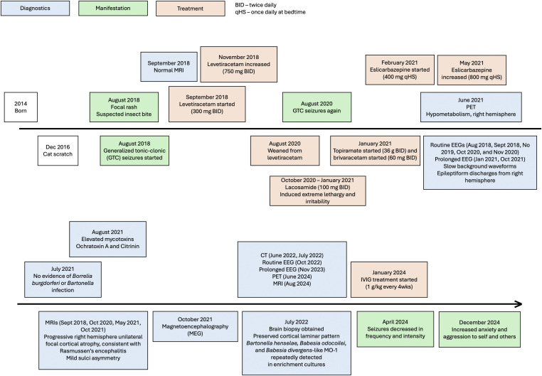 <i>Bartonella henselae</i>, <i>Babesia odocoilei</i> and <i>Babesia divergens</i>-like MO-1 infection in the brain of a child with seizures, mycotoxin exposure and suspected Rasmussen's encephalitis.