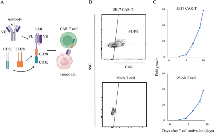 Prostaglandin F2 receptor negative regulator as a potential target for chimeric antigen receptor-T cell therapy for glioblastoma.