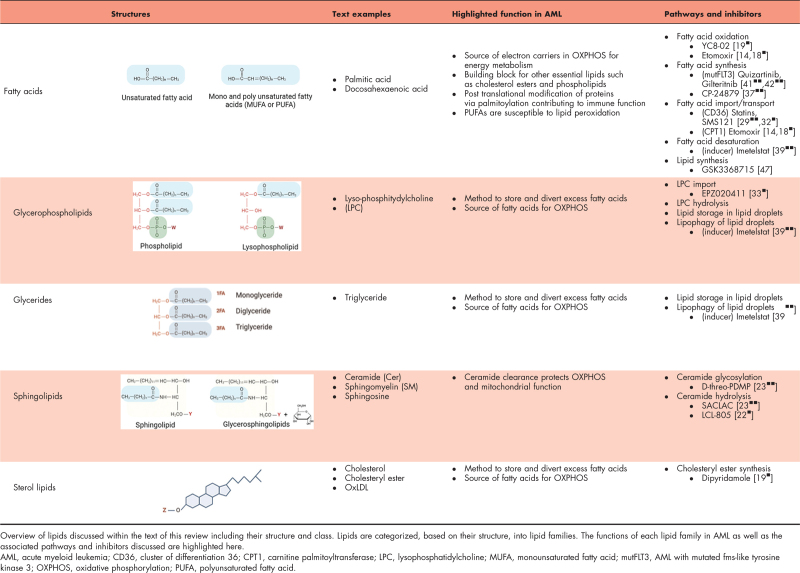 Unraveling lipid metabolism for acute myeloid leukemia therapy.