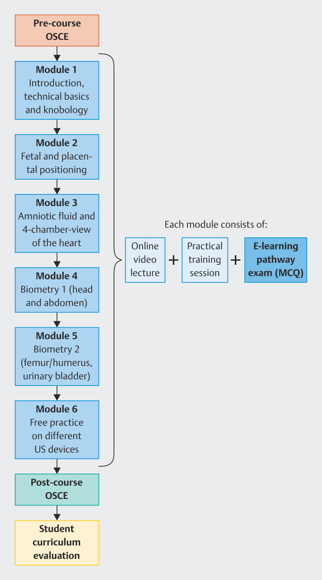 Developing and Assessing an Integrated Comprehensive Obstetric Ultrasound Training Program for Undergraduate Medical Students - the Fetal Assessment in Medical Education Study (FAME study).