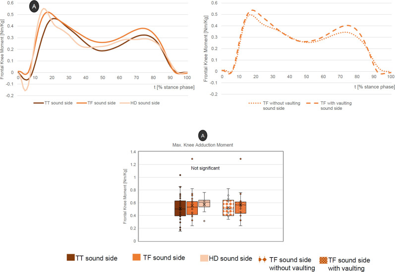 Impact of amputation level and vaulting on loading parameters during level ground walking.