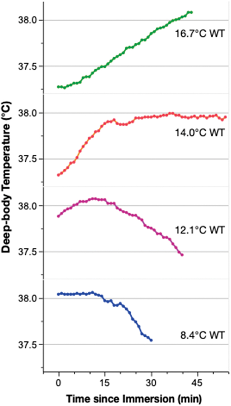Thermal physiology of open water wetsuited swimming: A cohort study.