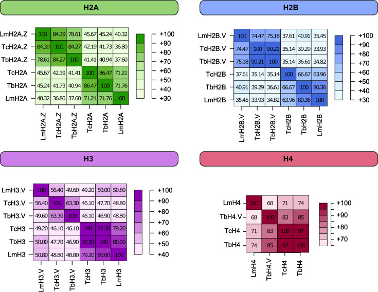 Trypanosomatid histones: the building blocks of the epigenetic code of highly divergent eukaryotes.
