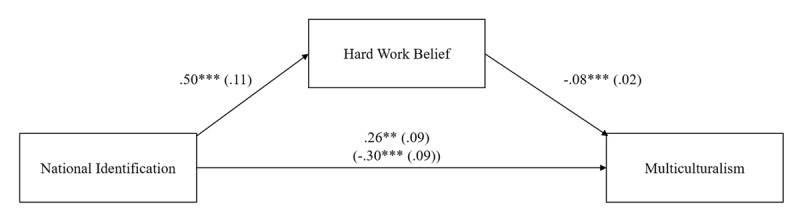 Identifying with a Classically Liberal Nation: A Social Justice Perspective on Majority Opposition to Multiculturalism.