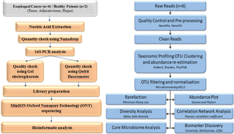 Microbial overlap in dental plaque and tumor tissue of esophageal cancer patients: A pilot study.