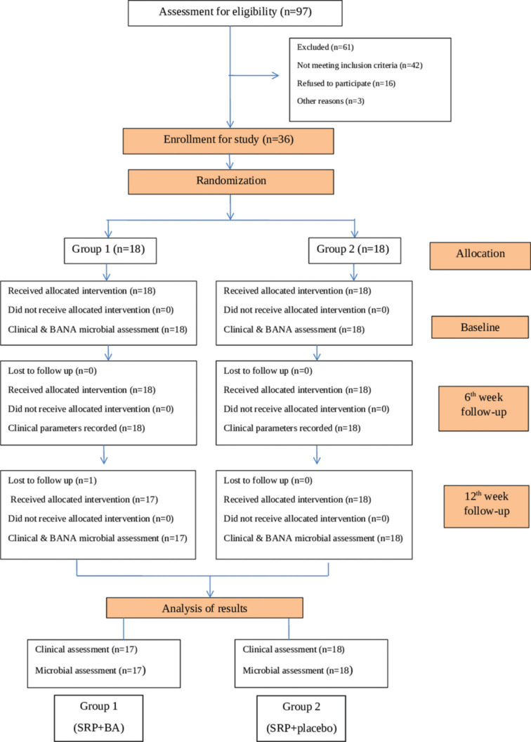 Chairside clinicomicrobiological assessment of subgingival boric acid irrigation in periodontitis patients: A randomized controlled trial.