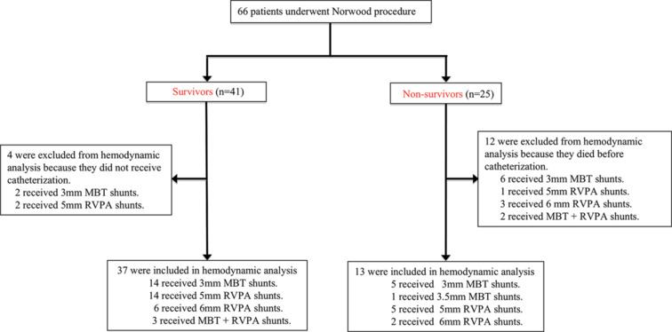 An 11-year single-center experience of Norwood procedures in the neonates with hypoplastic left heart syndrome and variants.