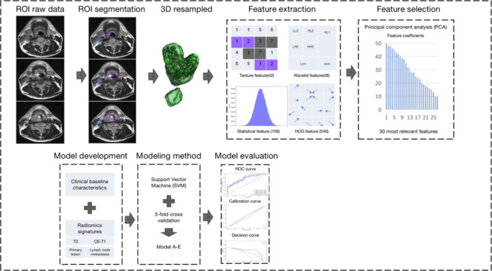 Developing a multi-modal MRI radiomics-based model to predict the long-term overall survival of patients with hypopharyngeal cancer receiving definitive radiotherapy.