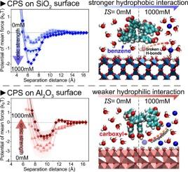 Mineral surface-specific nanoplastic adsorption: Insights from quartz crystal microbalance experiment and molecular modeling simulations