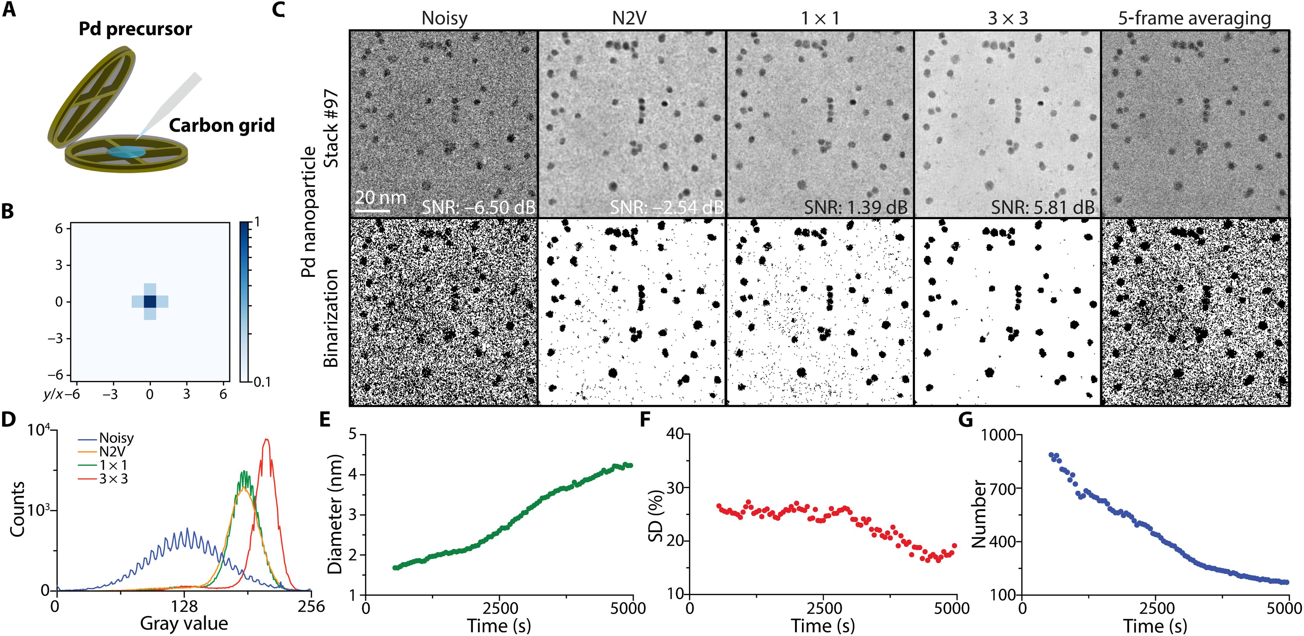 Self-supervised machine learning framework for high-throughput electron microscopy