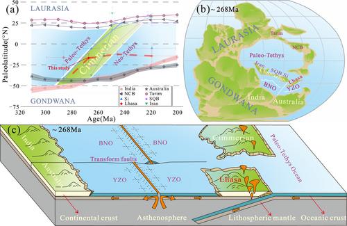 Was the Lhasa Block at Low Latitudes in the Middle Permian? Insights From New Paleomagnetic and Geochronological Data