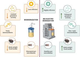 Doxycycline degradation by Enterobacter cloacae HS-08: A comparative analysis of biodegradation and bio-electrodegradation approaches with toxicity implications