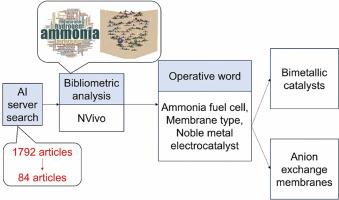 Direct ammonia fuel cells: A review