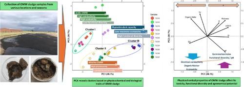 Cataloging olive oil mill wastewater sludge based on toxicological profiles and functional microbial diversity