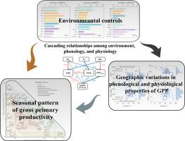 Cascading environmental, phenological, and physiological influences on spatial variability of annual gross primary productivity in the Northern Hemisphere