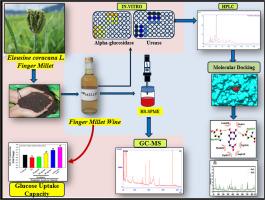 Unraveling the bioactive profile of finger millet wine: In-vitro hypoglycemic, anti-urease activities, and In-silico molecular docking approach
