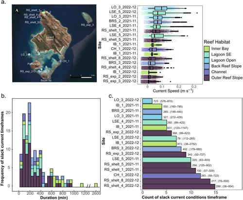 Going with the flow: Leveraging reef-scale hydrodynamics for upscaling larval-based restoration