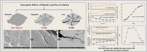 Low-temperature hydrogen reduction of Carajás hematite: Synergistic effects of kinetics and pore evolution