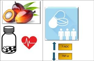 Oil palm Phenolics supplementation improves plasma antioxidant levels and modulates inflammatory markers in individuals with minor Hyperlipidaemia: A randomized, double-blind, placebo-controlled trial