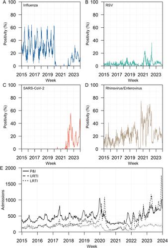 Excess Respiratory Hospitalisations Associated with Influenza, Respiratory Syncytial Virus and SARS-CoV-2 in Singapore from 2015 to 2023