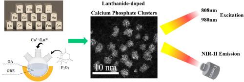 Neodymium-embedded ultrasmall biomimetic calcium phosphate clusters for fluorapatite nanodot formation and NIR-II bioimaging