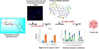 Thymoquinol-2-O-β-D-glucopyranoside: Isolation from Pulicaria Jaubertii, Anticancer Efficacy, and Comparative Apoptotic Markers Binding Studies with Thymoquinone and Thymoquinol