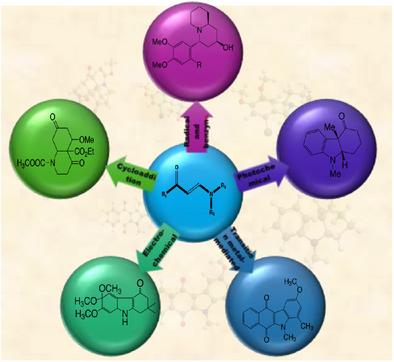 A Review of Uncommon Transformations in Enaminone Chemistry