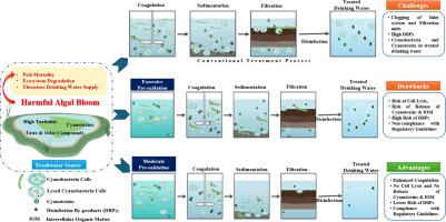 Management of cyanobacteria and cyanotoxins in drinking water: A comprehensive review on occurrence, toxicity, challenges and treatment approaches