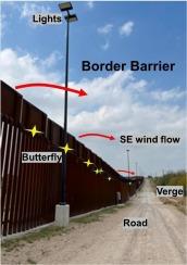 Insect pollinator crossing of international border barriers along the U.S.-Mexico border