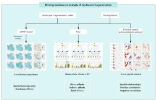 Driving factors of fragmentation in urban landscapes: Local contributions, spatial relationships, and causal effects