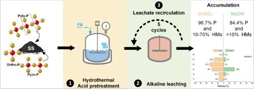 Tandem acid assisted hydrothermal treatment and Inhibited heavy metal extraction towards High-Purity phosphorus recovery from sewage sludge